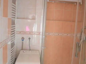 Pronájem bytu 2+1, Praha, Ruská, 63 m2