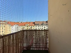 Pronájem bytu 2+kk, Praha - Žižkov, Biskupcova, 50 m2