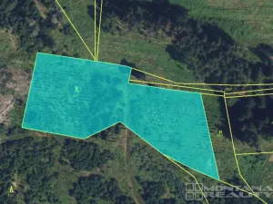 Prodej lesa, Městečko Trnávka - Lázy, 42338 m2