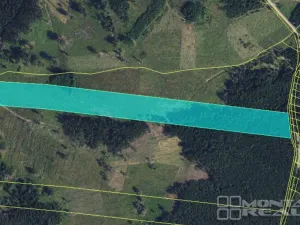 Prodej lesa, Městečko Trnávka - Lázy, 42338 m2