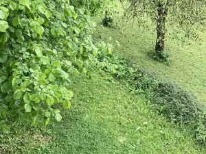 Pronájem rodinného domu, Mírová pod Kozákovem, 105 m2