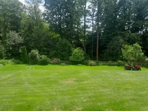 Prodej rodinného domu, Radvanec, 213 m2