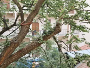 Pronájem bytu 2+kk, Praha, Plaská, 42 m2