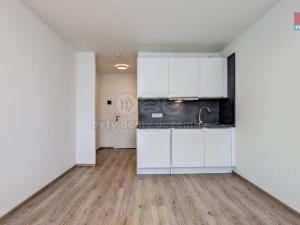 Pronájem bytu 1+kk, Praha - Vršovice, Kubánské náměstí, 19 m2