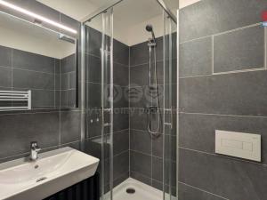 Pronájem bytu 1+kk, Praha - Vršovice, Kubánské náměstí, 19 m2
