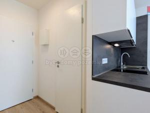 Pronájem bytu 1+kk, Praha - Vršovice, Kubánské náměstí, 19 m2