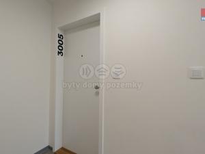Pronájem bytu 1+kk, Praha - Vršovice, Kubánské náměstí, 19 m2
