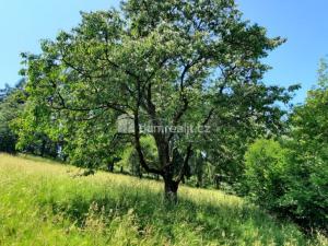 Prodej rodinného domu, Rovensko pod Troskami, Hrabalka, 170 m2