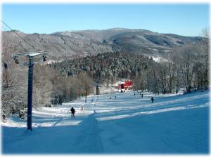 Prodej komerční nemovitosti, Lipová-lázně, 215391 m2