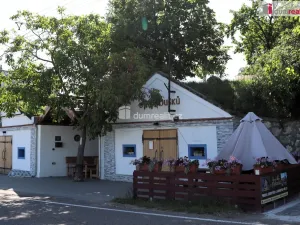 Prodej garáže, Horní Věstonice, U Venuše, 165 m2