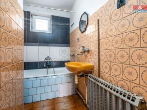 Prodej rodinného domu, Nechanice - Staré Nechanice, 234 m2