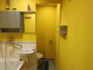 Pronájem bytu 2+kk, Ústí nad Labem - Střekov, Tolstého, 36 m2