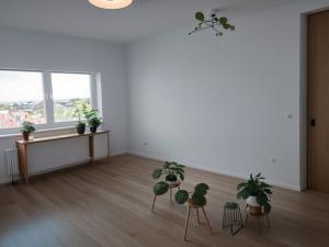 Pronájem bytu 3+1, Vranová, 72 m2