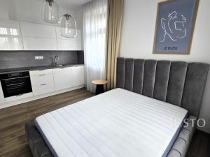 Pronájem bytu 1+1, Písek, Vladislavova, 38 m2