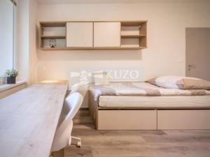 Pronájem bytu 1+kk, Brno, Plevova, 21 m2