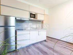 Pronájem bytu 1+kk, Brno, Plevova, 21 m2