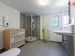 Prodej chalupy, Dolní Žandov - Salajna, 165 m2