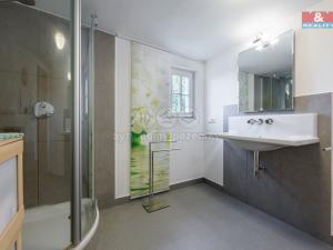 Prodej chalupy, Dolní Žandov - Salajna, 165 m2