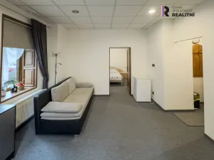 Prodej rodinného domu, Kraslice, Havlíčkova, 480 m2