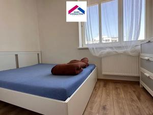 Pronájem bytu 2+1, Brno, Náplavka, 45 m2