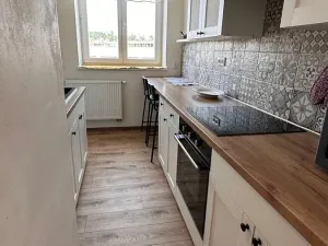 Pronájem bytu 2+1, Brno, Náplavka, 45 m2