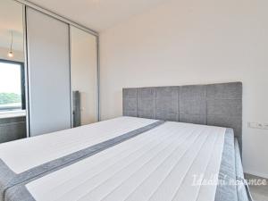 Pronájem bytu 2+kk, Mladá Boleslav - Mladá Boleslav III, Vondřichova, 56 m2