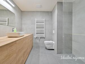 Pronájem bytu 2+kk, Mladá Boleslav - Mladá Boleslav III, Vondřichova, 56 m2