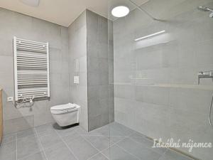 Pronájem bytu 2+kk, Mladá Boleslav - Mladá Boleslav III, Vondřichova, 56 m2