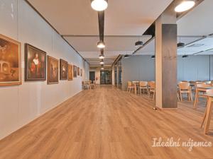 Pronájem bytu 2+kk, Mladá Boleslav - Mladá Boleslav III, Vondřichova, 56 m2
