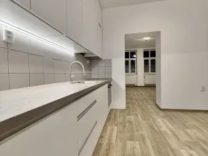 Pronájem bytu 1+1, Opava - Předměstí, Hviezdoslavova, 55 m2