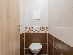 Pronájem bytu 1+kk, Ostrava, Křišťanova, 44 m2