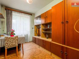 Prodej rodinného domu, Nechanice - Staré Nechanice, 160 m2