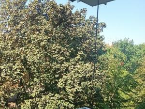 Pronájem bytu 2+kk, Praha - Michle, Magistrů, 38 m2