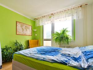 Pronájem bytu 2+1, Brno - Bystrc, Opálkova, 62 m2