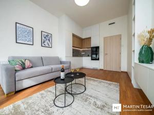 Pronájem bytu 1+kk, Brno, Opuštěná, 31 m2