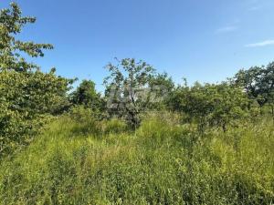 Prodej rodinného domu, Podmoky, 361 m2