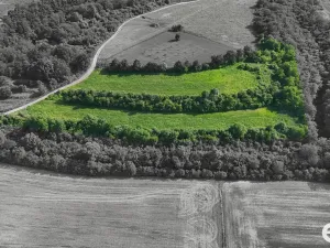 Prodej podílu 1/4 pozemku, Bechlín, 14560 m2