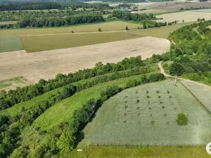 Prodej podílu 1/4 pozemku, Bechlín, 14560 m2