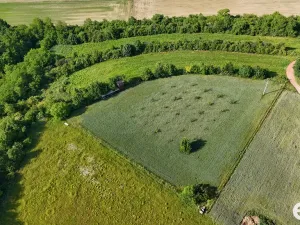 Prodej podílu 1/4 pozemku, Bechlín, 14560 m2