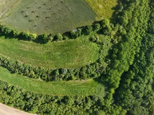 Prodej podílu 1/4 pozemku, Bechlín, 14560 m2