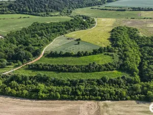 Prodej podílu 1/4 pozemku, Bechlín, 14560 m2