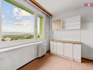 Prodej bytu 1+1, Ústí nad Labem - Severní Terasa, Muchova, 42 m2