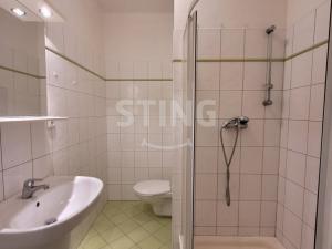 Pronájem bytu 1+kk, Opava, Skřivánčí, 30 m2
