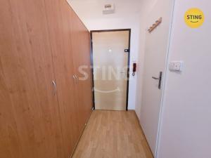 Pronájem bytu 1+kk, Opava, Skřivánčí, 30 m2