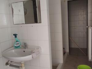 Prodej rodinného domu, Opava - Předměstí, Sadová, 280 m2