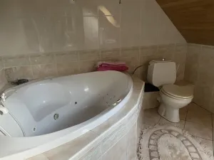 Prodej rodinného domu, Frýdek-Místek, Palkovická, 198 m2