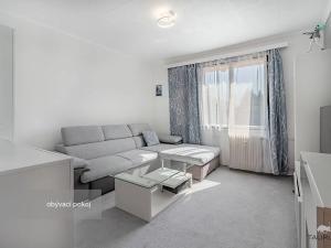 Prodej podílu bytu 3+1, Klatovy, Rozvoj, 64 m2