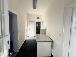 Prodej vily, Litoměřice - Předměstí, Neumannova, 260 m2