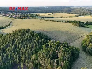 Prodej pole, Černé Voděrady, 7487 m2