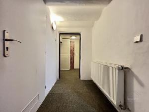 Pronájem obchodního prostoru, Praha - Strašnice, Přetlucká, 130 m2